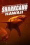 Nonton Film Sharkcano: Hawaii (2023) Bioskop21